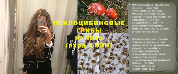 соль курить ск Алзамай