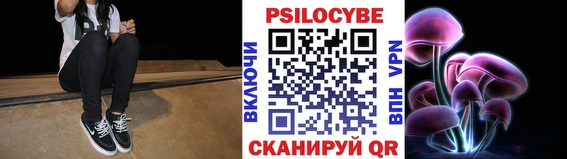 Галлюциногенные грибы Psilocybe  hydra зеркало  Черкесск  наркотики 
